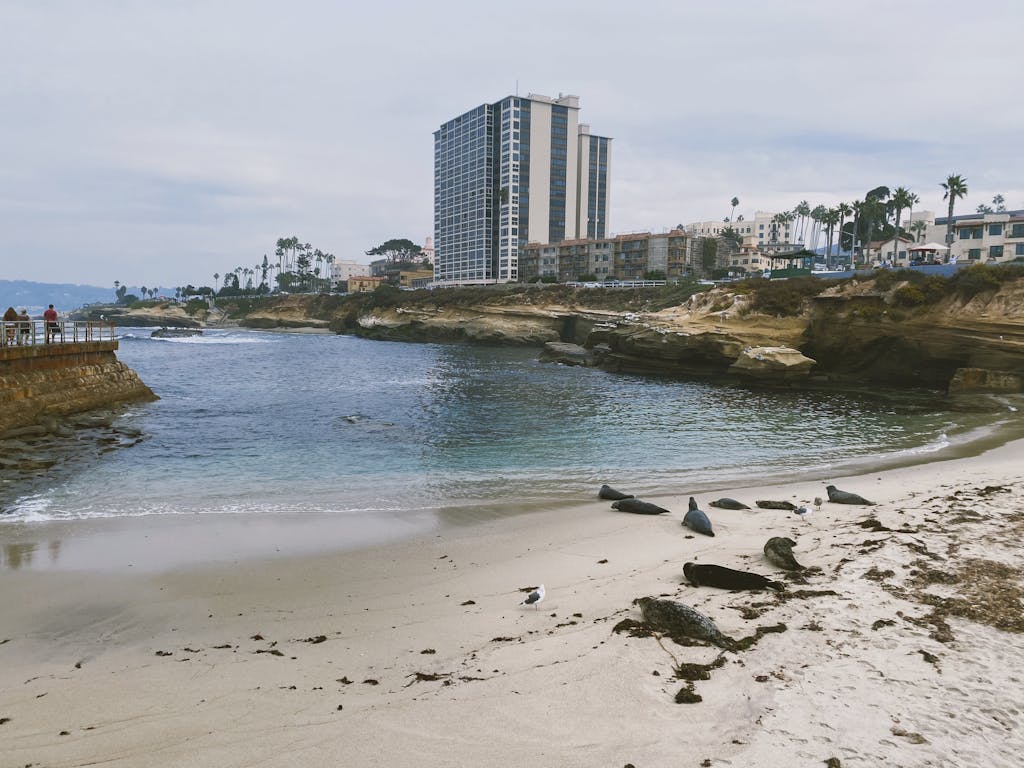 Mortgage Services in La Jolla